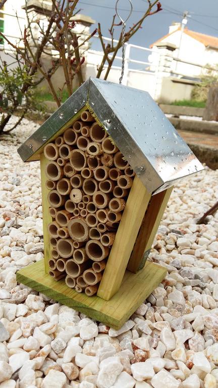 Authentique Gite 1950 Poitiers Futuroscope Aquascope, 1A9Prsn, 3 Pkg, 3 Etoiles A 6Prsn Et 3 Appoints Eco-Responsable Ngoại thất bức ảnh
